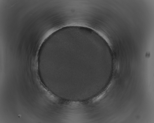 X0000089940982200707131450