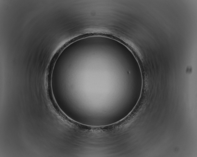 X0000089940983200707131450