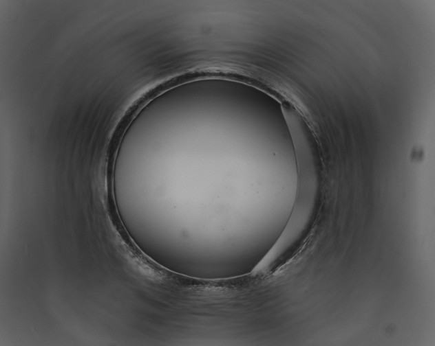 X0000089940984200707131450