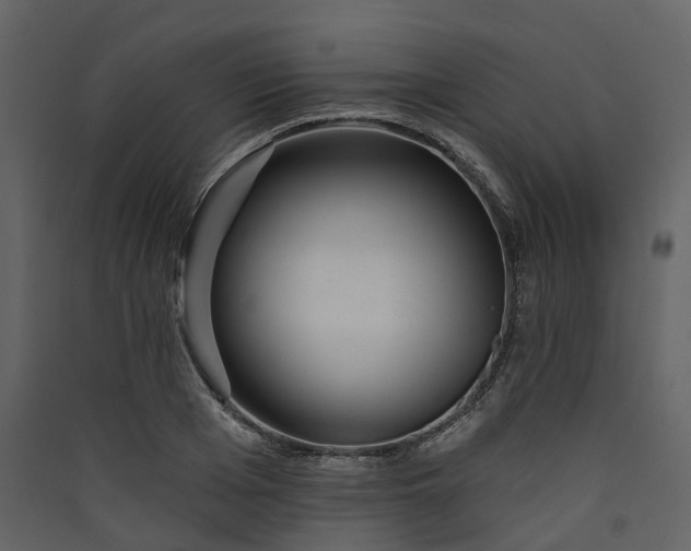 X0000089940985200707131450