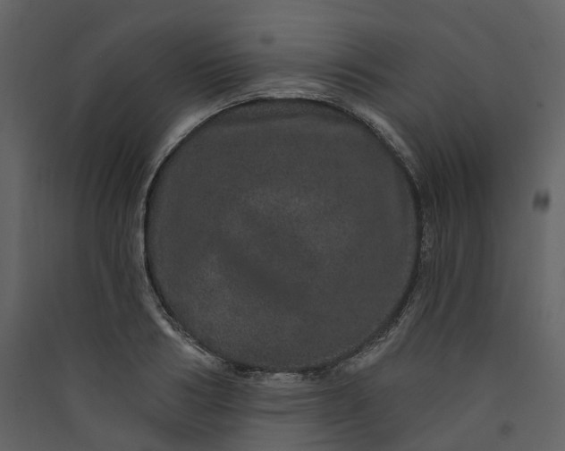 X0000089940986200707131450