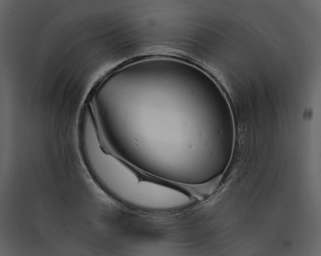 X0000089940987200707131450