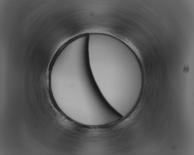 X0000089940988200707131450