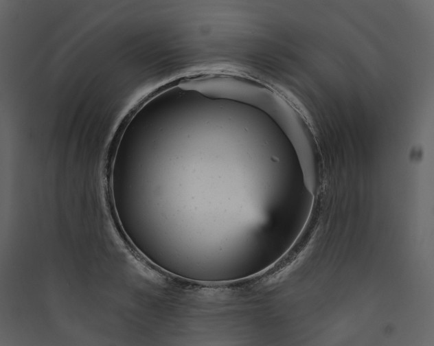 X0000089940989200707131450