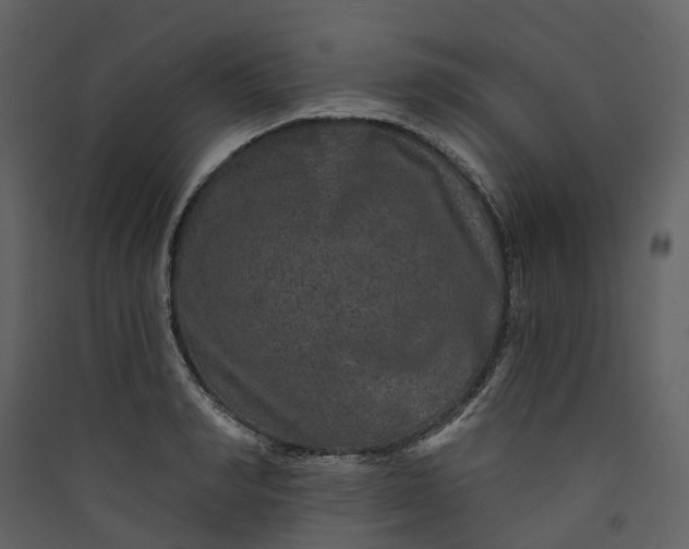 X0000089940990200707131450