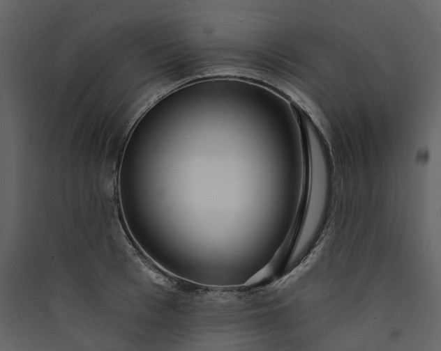 X0000089940993200707131449