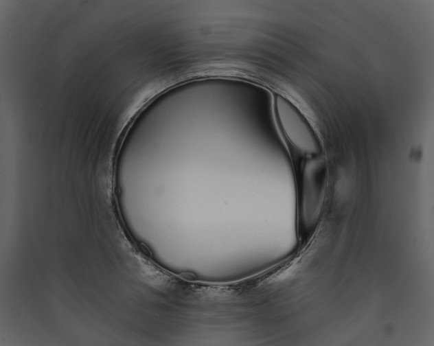 X0000089940994200707131449