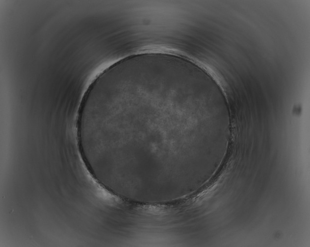 X0000089940995200707131449