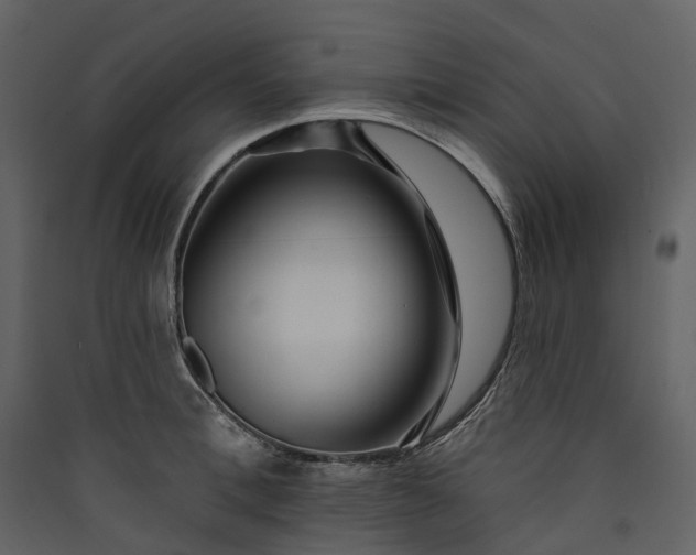 X0000089940996200707131449