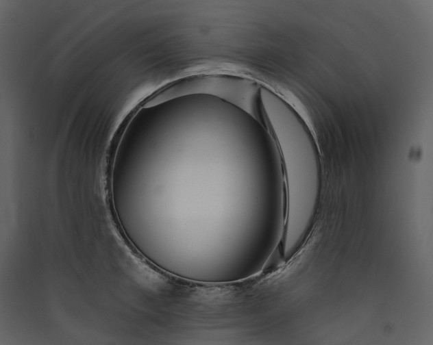 X0000089940997200707131449