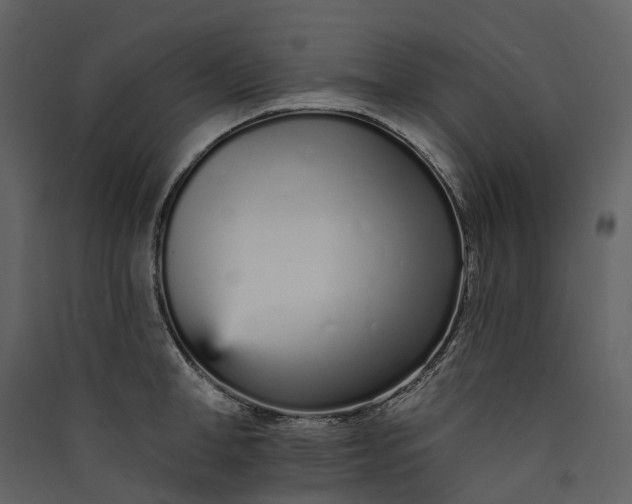 X0000089940998200707131449