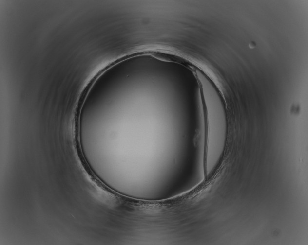 X0000089940999200707131449