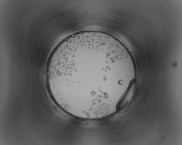 X0000089941000200707131449