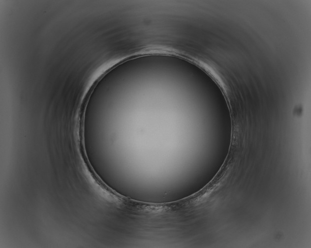 X0000089941003200707131449