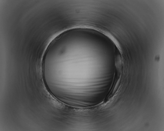 X0000089941004200707131449