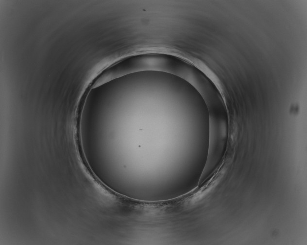 X0000089941005200707131449