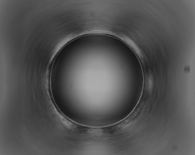 X0000089941006200707131449