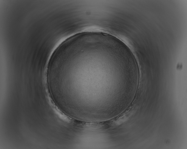 X0000089941008200707131449