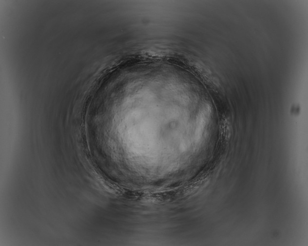 X0000089941009200707131449