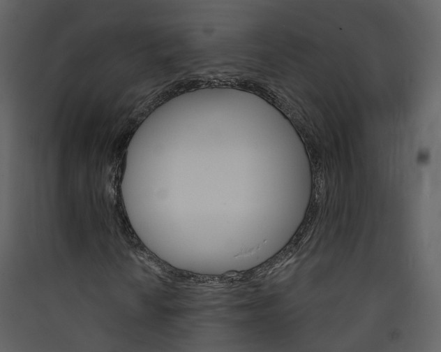 X0000089941010200707131449