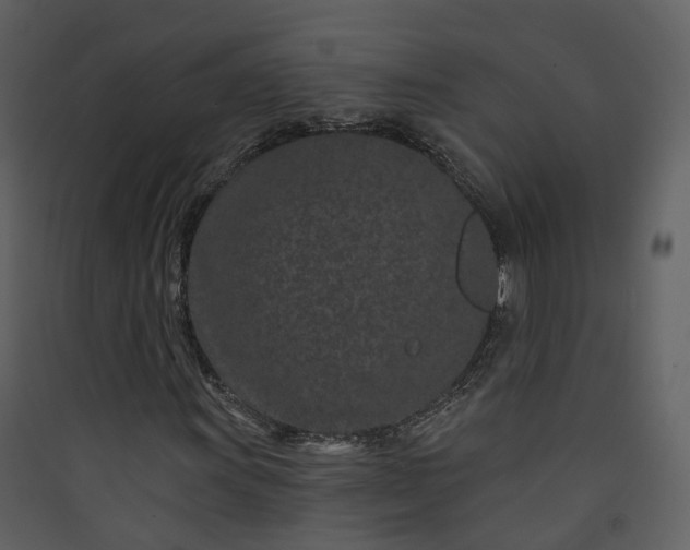 X0000089941011200707131449