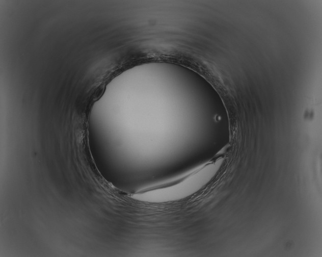 X0000089941012200707131449