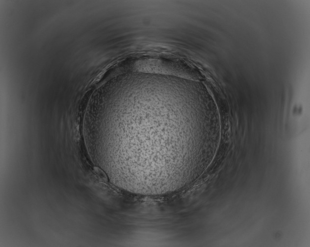 X0000089941013200707131449