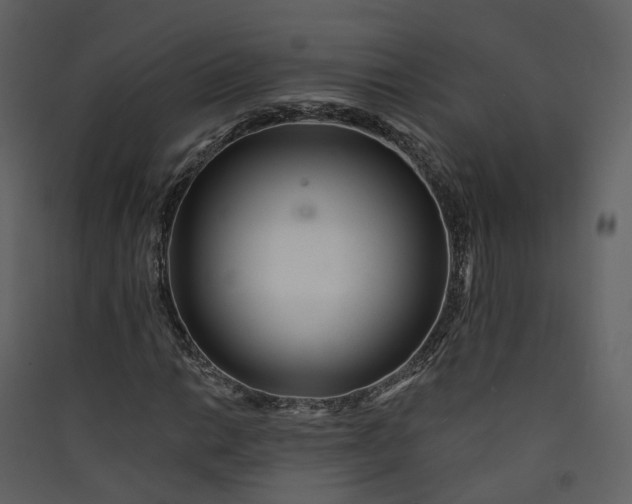 X0000089941014200707131449