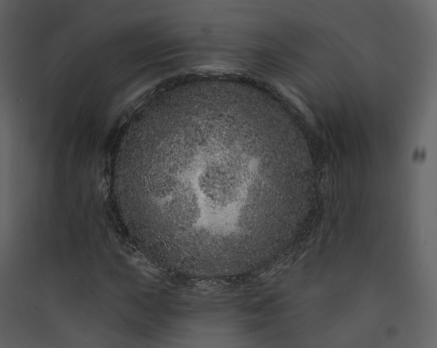 X0000089941015200707131449