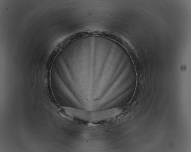 X0000089941016200707131449