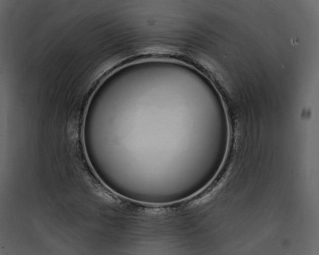 X0000089941017200707131449