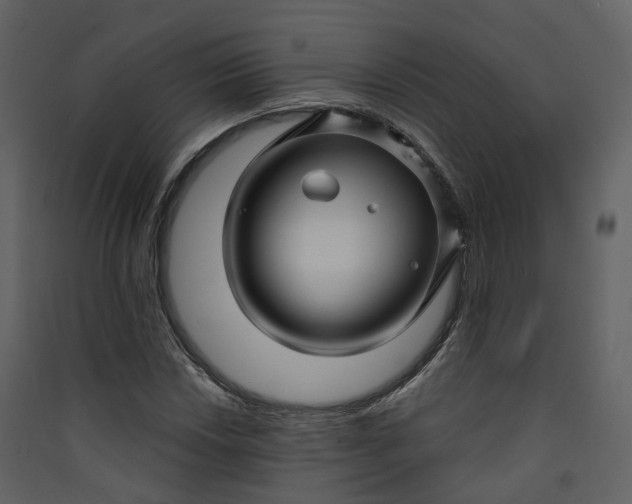 X0000089941018200707131449