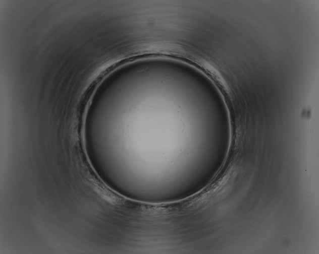 X0000089941019200707131449