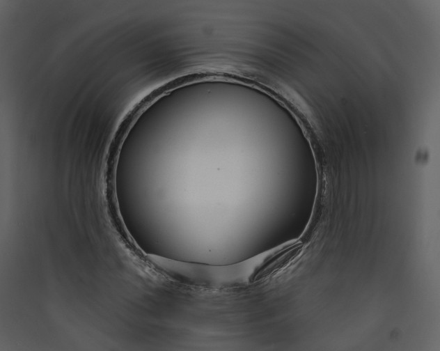 X0000089941020200707131449