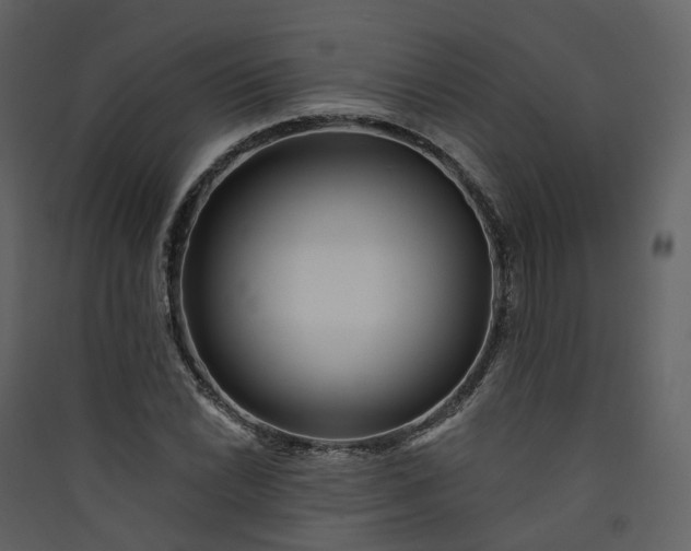 X0000089941022200707131449