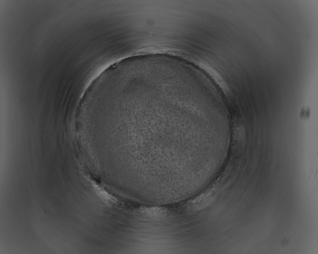 X0000089941023200707131449