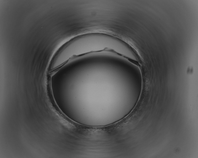 X0000089941024200707131449