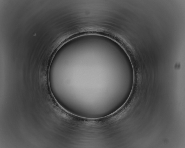 X0000089941025200707131449