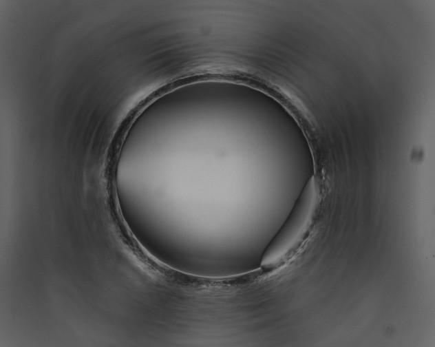 X0000089941026200707131449