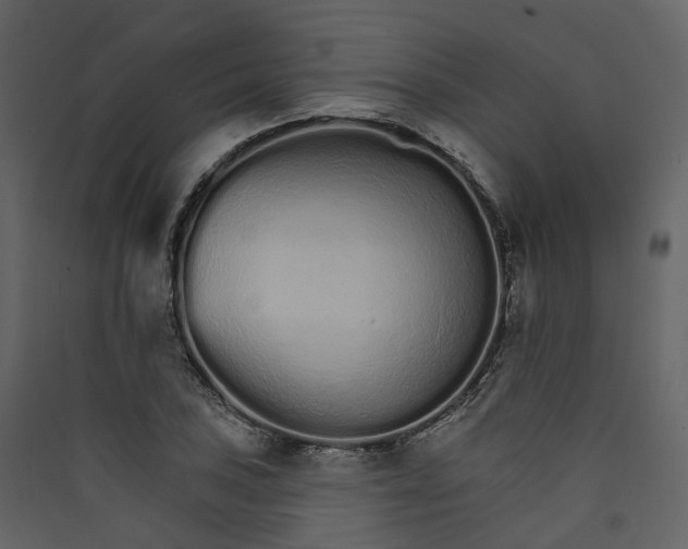 X0000089941027200707131449