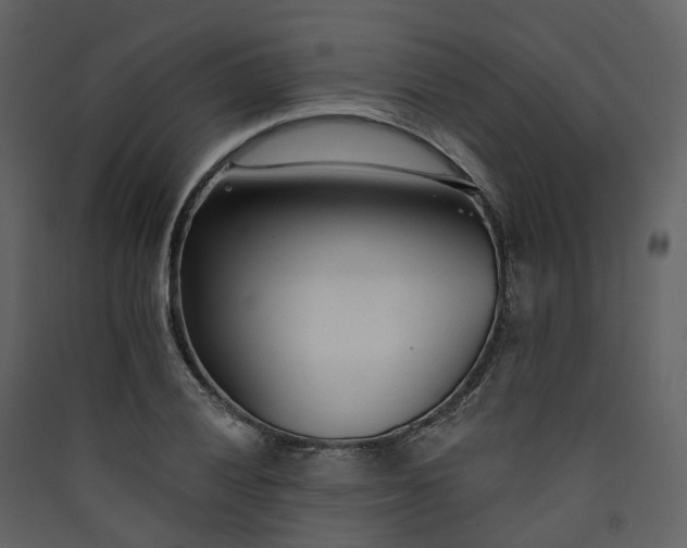 X0000089941028200707131449