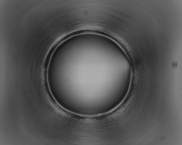 X0000089941029200707131449