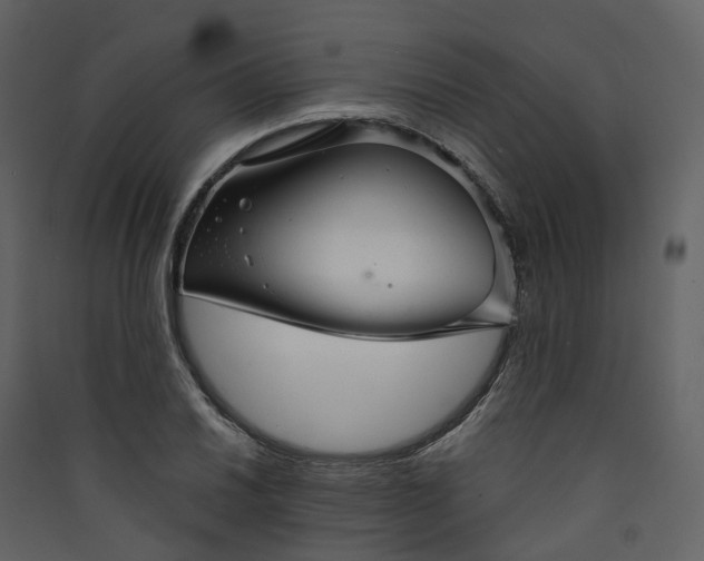 X0000089941030200707131449