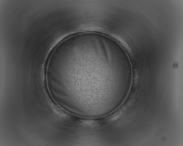 X0000089941031200707131449