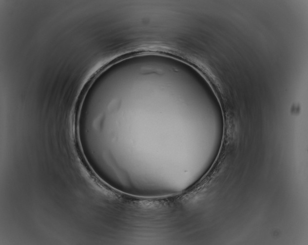 X0000089941032200707131449