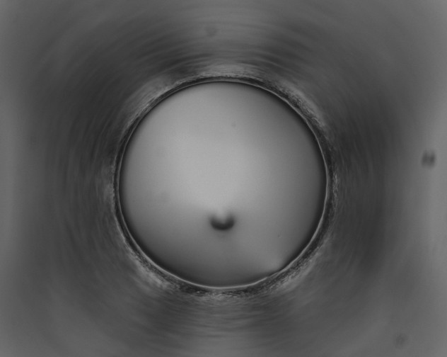 X0000089941033200707131449