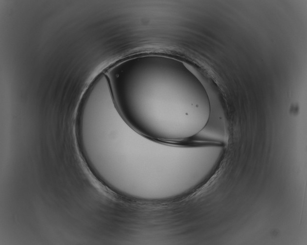 X0000089941034200707131449