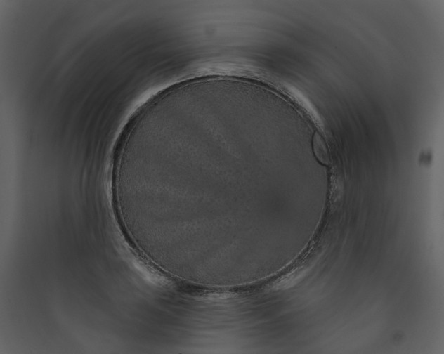 X0000089941035200707131449