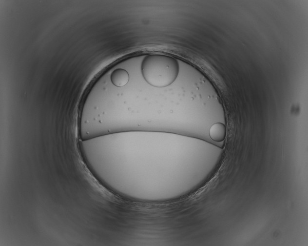 X0000089941036200707131449