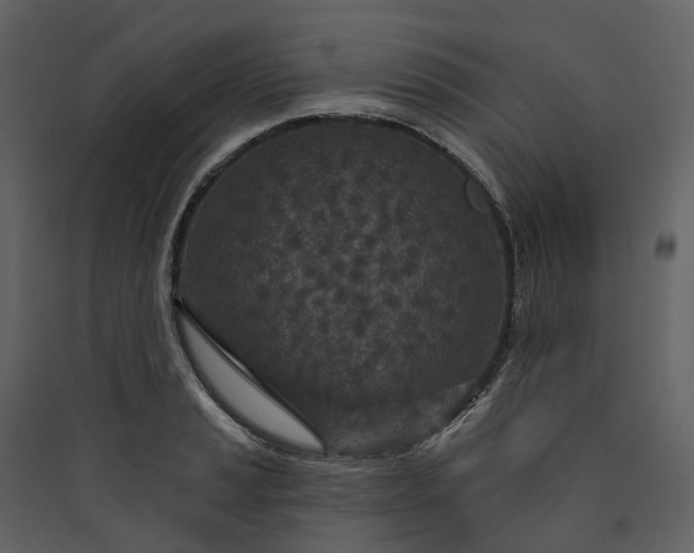 X0000089941037200707131449